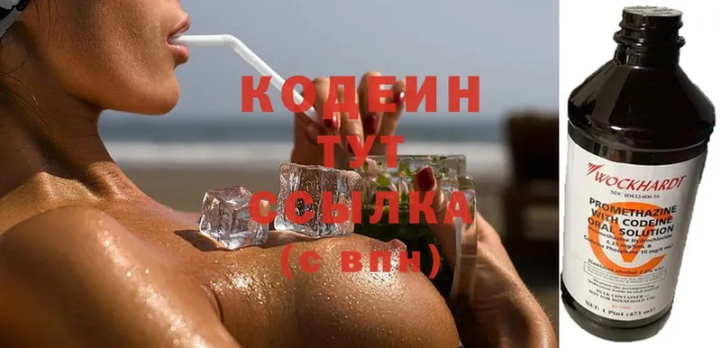 ссылка на мегу маркетплейс  Гудермес  Кодеиновый сироп Lean Purple Drank 