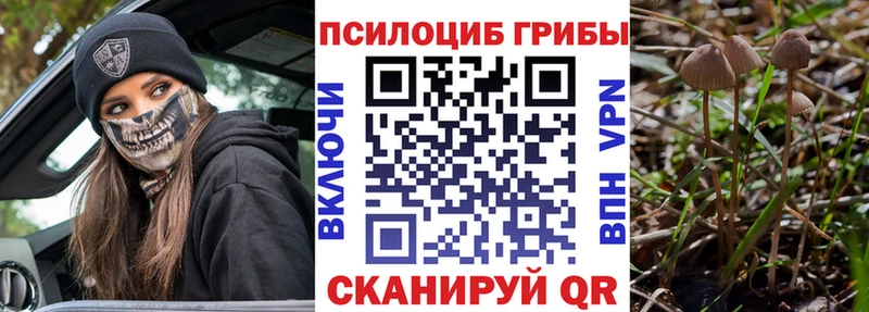 Галлюциногенные грибы ЛСД  MEGA ссылки  Гудермес 