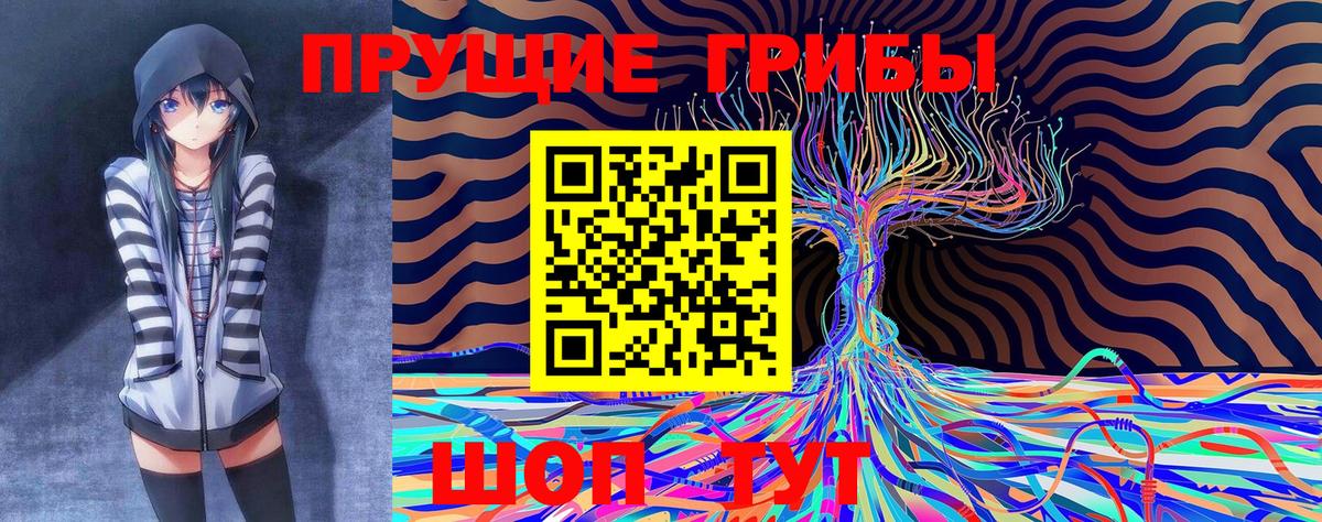 Галлюциногенные грибы Magic Shrooms  как найти наркотики  Гудермес 