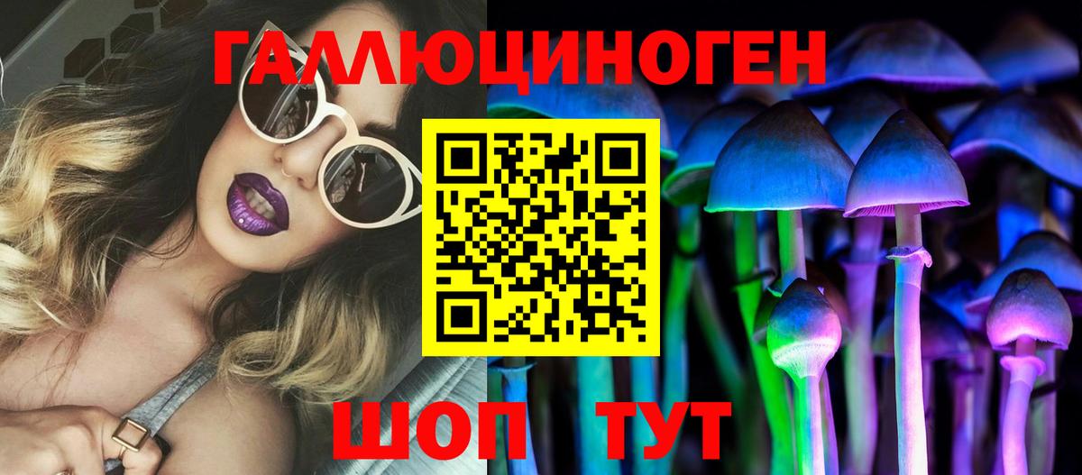 Псилоцибиновые грибы Cubensis  Вход с VPN  Галлюциногенные грибы мухоморы  Гудермес 